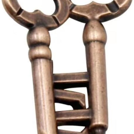 Brain Teaser 3D Unlock Interlocking Metal Hole Lock Puzzle - Adult Educational IQ Toy (Gold Silver Key)