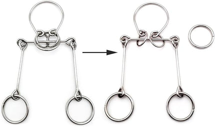 Zooshine 4PCS Advanced Metal Brain Teasers Puzzles Higher Level Challenge for Party Games,Parent-Children Games, Office Toys, Gift for Kids Adults