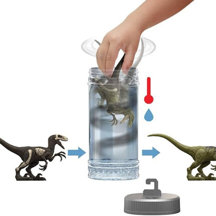Mattel Jurassic World Dino Reveal Dinosaur Toys, Unpack Surprise & Warm Water Uncovers Full Decoration, 5 to 7 Inches, Species Vary