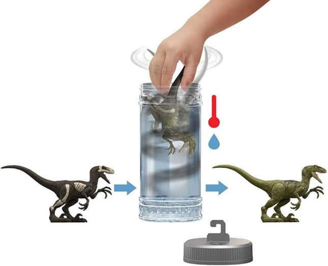 Mattel Jurassic World Dino Reveal Dinosaur Toys, Unpack Surprise & Warm Water Uncovers Full Decoration, 5 to 7 Inches, Species Vary