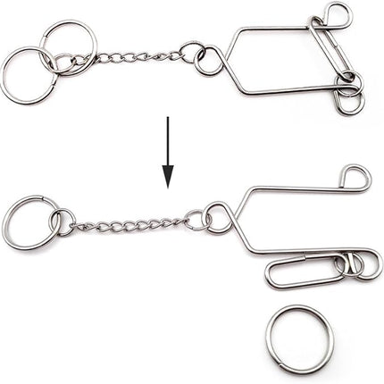 Zooshine 4PCS Advanced Metal Brain Teasers Puzzles Higher Level Challenge for Party Games,Parent-Children Games, Office Toys, Gift for Kids Adults