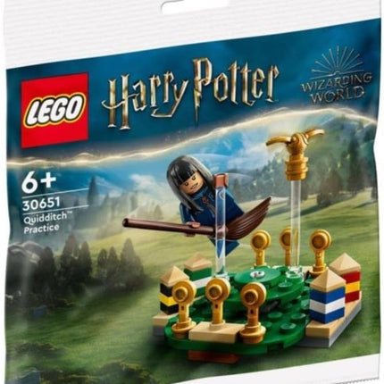 ZGZZPETT Lego Harry Potter Quidditch Practice 30651 Polybag, Medium