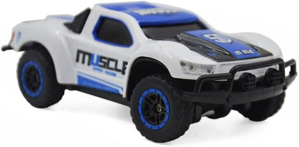 Blomiky 9 MPH High Speed Race RC Car 4WD 1:43 Scale 2.4G 4WD Electric Remote Control Car Vehicle D143 Blue White