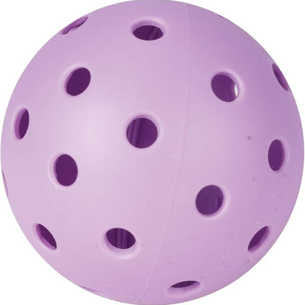 Barbie Kids Pickleball Set – Includes 2 Paddles, 1 Ball & Net – Portable Outdoor/Indoor Pickleball Game for Girls – Backyard, Driveway, Beach, Park, or Home Play