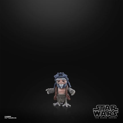 Star Wars The Black Series HSG0074 15cm Action Figure IG-12 & Grogu Deluxe Edition