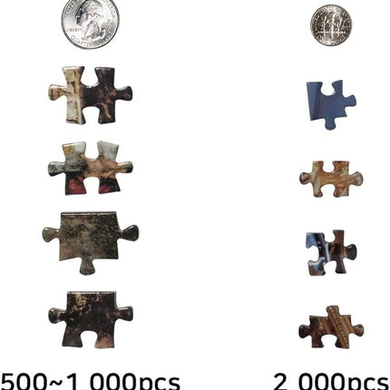 CHAMBERART 1000 Piece Premium Jigsaw Puzzle Tulip Fields A-1159