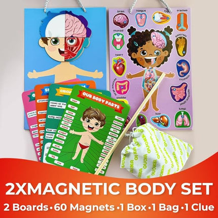 QUOKKA Magnetic Puzzles for Kids – Montessori Puzzles for Toddlers 3-5 – Preschool Game Learning Human Body Parts Anatomy Skeleton – Educational Toys for Boy & Girl
