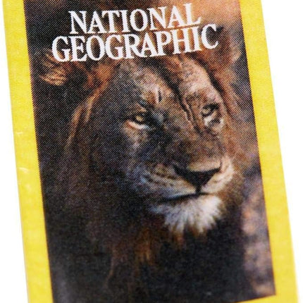 Barbie Photojournalist Doll, Brunette, Inspired by National Geographic for Kids 3 Years to 7 Years Old