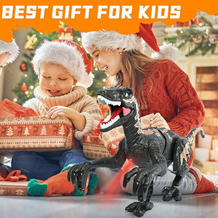 Remote Control Dinosaur Toys for Kid - Walking Dinosaur Toys for Boys 5-7，RC Jurassic Velociraptor Toys 8-12，Robot 3-5 with Light Sounds Birthday Gift Toy for Boys Age 3+ Rechargeable Black