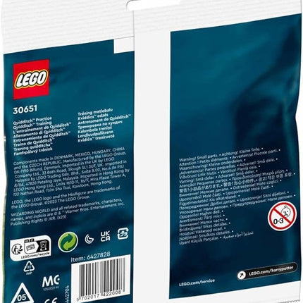 ZGZZPETT Lego Harry Potter Quidditch Practice 30651 Polybag, Medium