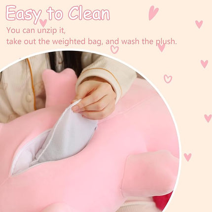 SQEQE Weighted Axolotl Plush, Weighted Axolotl Stuffed Animal, Cute Plushies Soft Pink Pillow Toy Gift for Kids Adults 9.8 Inch, 0.8 lbs