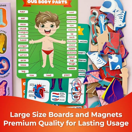 QUOKKA Magnetic Puzzles for Kids – Montessori Puzzles for Toddlers 3-5 – Preschool Game Learning Human Body Parts Anatomy Skeleton – Educational Toys for Boy & Girl