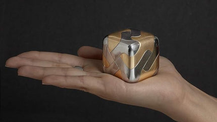 Craighill Tycho Puzzle - Brain Teaser Puzzle for Adults & Kids, 3D Brain Game, Mind-Bending & Satisfying, Aesthetic Home & Office Decor - Stainless Steel