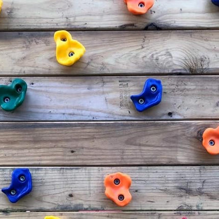 KINSPORY 20pc Rock Wall Climbing Holds Kids & Prise Escalade Enfant, Colourful Pig Nose Shape Climbing Set with Two Blue Handles for Indoor Outdoor Playground PlaySet Building