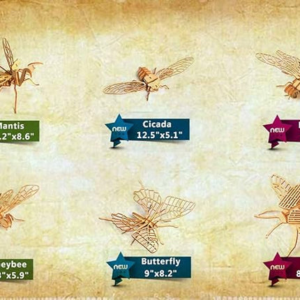 3D Wooden Insect Puzzle - 6 Piece Set Insect Animal Skeleton Assembly Model Puzzle - DIY Wooden Crafts 3D Puzzle - STEM Toys Gifts for Adults & Teens Birthday Gifts Christmas