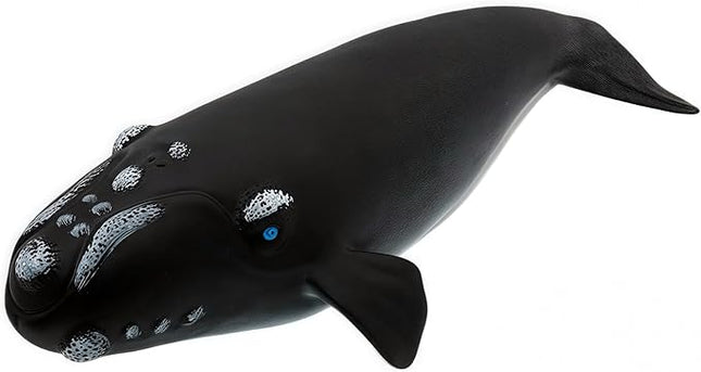 Gemini&Genius Right Whale Action Figure, Shark Animal Ocean Blackfish, Soft Rubber Ocean Whale Shark, Great for Kids Bath Swimming Beach and Cake Toppers Toys