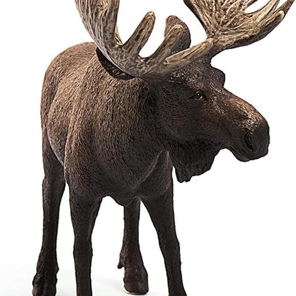 Schleich Wild Life Moose Bull Figurine - Wild Animal Toy Figurine, Durable for Education and Imaginative Play for Boys and Girls, Gift for Kids Ages 3+