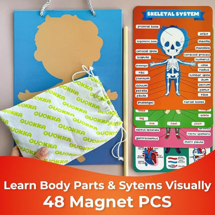 QUOKKA Magnetic Puzzles for Kids – Montessori Puzzles for Toddlers 3-5 – Preschool Game Learning Human Body Parts Anatomy Skeleton – Educational Toys for Boy & Girl