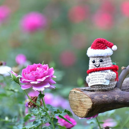 1 Pcs Positive Mini Funny Potato Holding Card Crochet Easter Birthday Christmas Mom Dad Sister Friend Wife Husband Colleauge College Students Coworkes Cheer Up Gift Decor