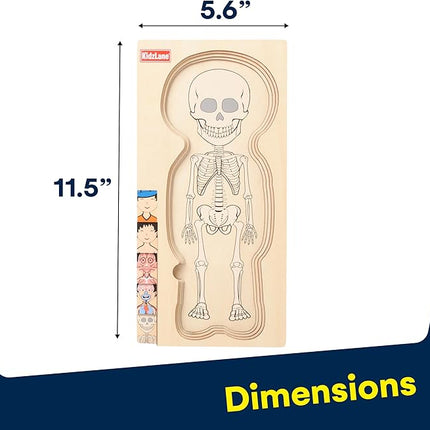 Kidzlane Wooden My Body Puzzle for Toddler - 5-Layer Human Anatomy Puzzle - Real Wood - Multicolor - Educational Toy for Kids - BPA Free - Explore Skeletal, Respiratory, Digestive System