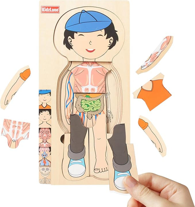 Kidzlane Wooden My Body Puzzle for Toddler - 5-Layer Human Anatomy Puzzle - Real Wood - Multicolor - Educational Toy for Kids - BPA Free - Explore Skeletal, Respiratory, Digestive System