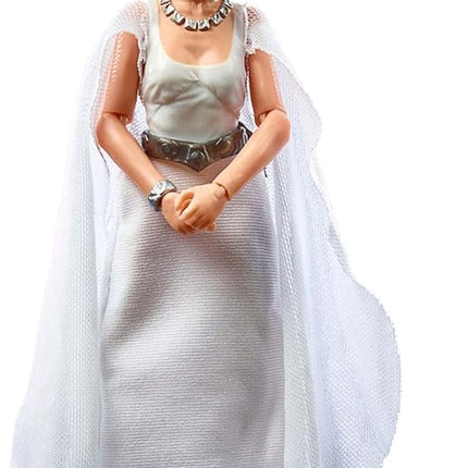 STAR WARS The Black Series Princess Leia Organa (Yavin 4) Toy 6-Inch-Scale A New Hope Collectible Action Figure, Kids 4 and Up F1876