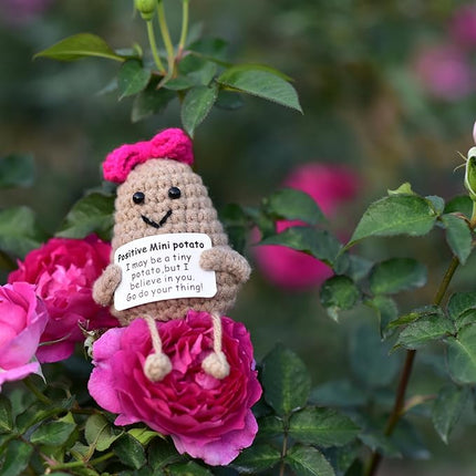 1 Pcs Positive Mini Potato Breast Cancer Good Luck Gifts for Women Easter Birthday Christmas Mom Sister Friend Wife Colleauge Coworkes Mental Support