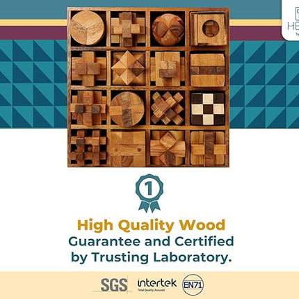 BSIRI 16 in 1 Wooden Brain Teaser Puzzles for Adults and Teens or Kids Interlocking 3D Mini Wood Mind Games Hand Puzzle Teasers Set Toys Coffee Table Games Gift