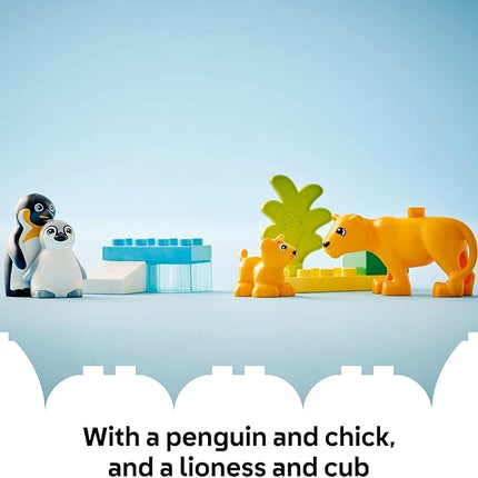 LEGO DUPLO Town Wild Animal Families Penguins & Lions Building Toy Playset - Preschool Learning & Educational Animal Toy for Toddlers, Boys and Girls, Ages 2+ - Baby Gift Ideas - 10442