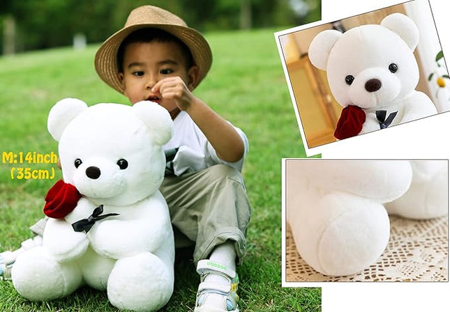 Teddy Bear Plush Stuffed Animal Valentines Teddy Bear with Rose,Sweet Bear Great Gift for Your Loved One,Girlfriend Kids Birthday, Valentine, Christmas (9.84 inches, White)