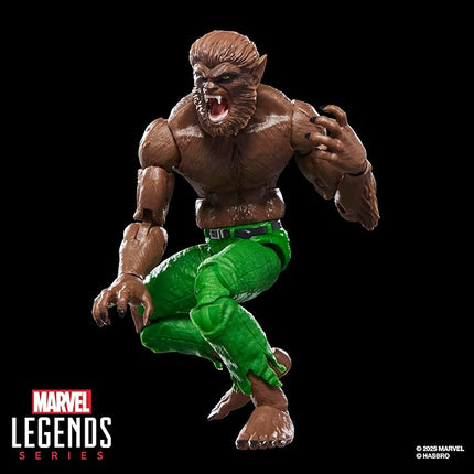 Marvel Legends Series Werewolf by Night, Marvel Comics Collectible 6-Inch Scale Action