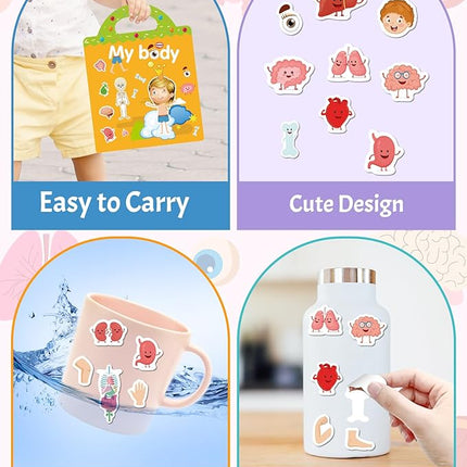 Benresive Reusable Sticker Book for Toddlers 2-4 Years, Fun Travel Stickers for Kids, Waterproof Sticker Books for Toddlers 1-3, Crafts Activities for Todddlers 1-3 2-4 3-5 - My Body