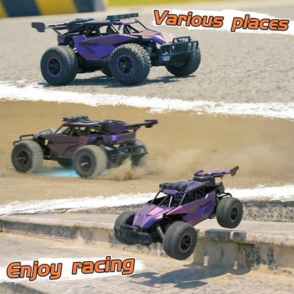 1:16 Scale Purple Remote Control Car, 20 Km/h High Speed Girls Remote Control Car Monster Vehicle with LED Headlights and Chassis Lights, RC Truck for Girls Boys and Adults