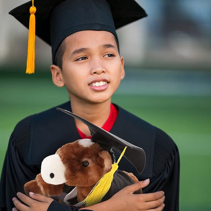 DolliBu Lying Brown Horse Graduation Plush Toy - Soft Graduation Stuffed Animal Dress Up with Gown & Cap with Tassel Outfit - Gift with Personalization - 10.5" Inches