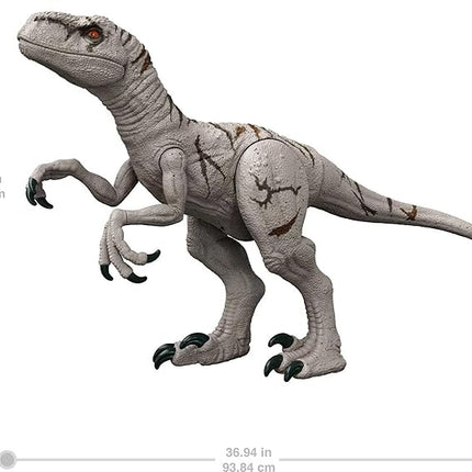 Mattel Jurassic World Super Colossal Atrociraptor Action Figure, 3-foot Long Dinosaur Toy with Eating Feature