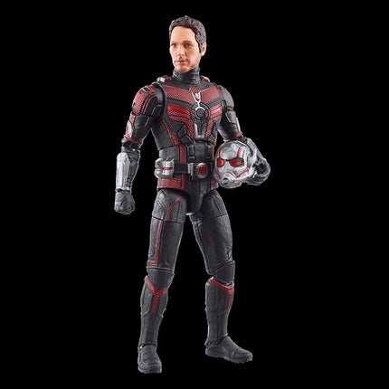 Marvel Legends Series Ant-Man,Ant-Man & The Wasp: Quantumania Collectible 6-Inch Action Figures, Ages 4 and Up