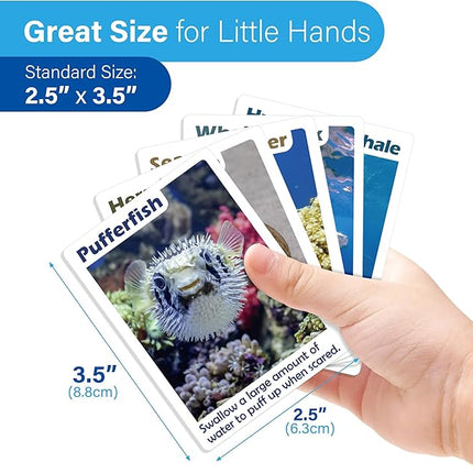 BenBen Go Fish Card Game for Kids, 104 Cards, Ocean Theme Memory Matching Game, Sea Animals Learning Playing Cards, Picture Cards with Real Photos, Fun Facts, 2-8 Players