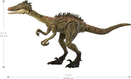 Mattel Jurassic World Hammond Collection Dinosaur Action Figure Toy Troodon Species, Premium Movie Design Glass Eyes & 14 Points Articulation