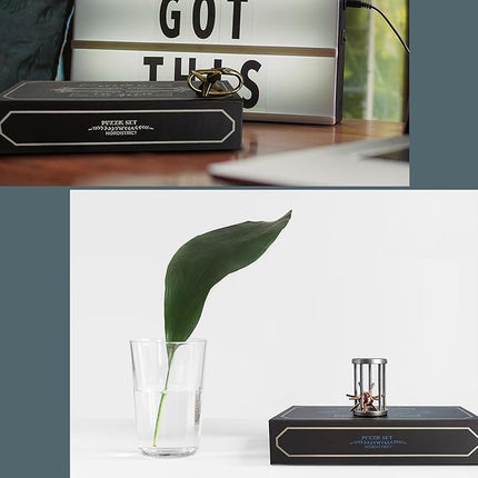 5 Pcs Metal Puzzles 3D Brain Teaser Puzzles for Adults Teens, Highly Difficult Metal Brain Puzzles, IQ Logic Test Disentanglement Game for Classroom Party Mind Challenge School Supplies (Cage Puzzle)