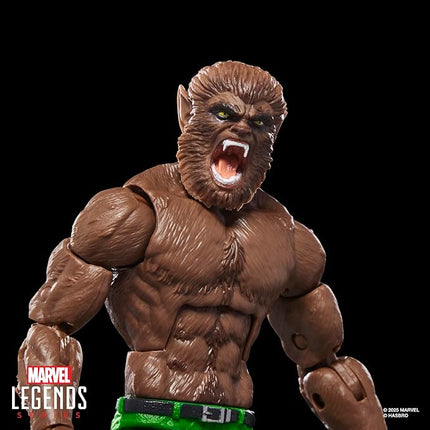 Marvel Legends Series Werewolf by Night, Marvel Comics Collectible 6-Inch Scale Action