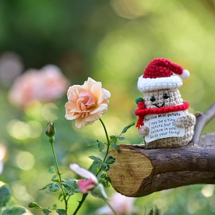 1 Pcs Positive Mini Funny Potato Holding Card Crochet Easter Birthday Christmas Mom Dad Sister Friend Wife Husband Colleauge College Students Coworkes Cheer Up Gift Decor
