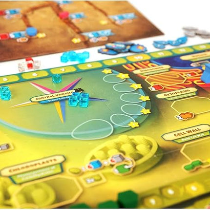 Cellulose: A Plant Cell Biology Game | Mensa Recommended Strategic & Entertaining Game to Learn Photosynthesis, DNA & Biochemistry | Educational STEM Board Game for Families, Students & Teachers