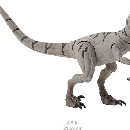 Mattel Jurassic World Hammond Collection Dinosaur Action Figure Toy, Atrociraptor Ghost, Premium Movie Design with Glass Eyes & 14 Points Articulation