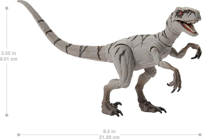 Mattel Jurassic World Hammond Collection Dinosaur Action Figure Toy, Atrociraptor Ghost, Premium Movie Design with Glass Eyes & 14 Points Articulation