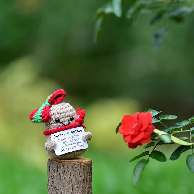 1 Pcs Positive Mini Funny Potato Holding Card Crochet Easter Birthday Christmas Mom Dad Sister Friend Wife Husband Colleauge College Students Coworkes Cheer Up Gift Decor