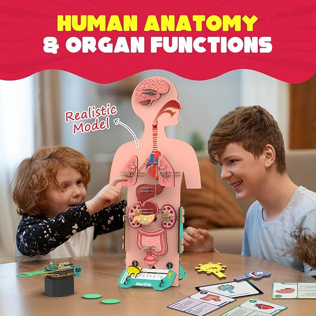 Smartivity Human Body Model for Kids 6 to 12 Years | Learn Body Organs, Functions with Fun Card Games | Christmas, Birthday Gift for Boys & Girls | DIY STEM Science Toys for Kids 6, 8, 10, 12 Years