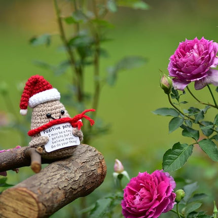 1 Pcs Positive Mini Funny Potato Holding Card Crochet Easter Birthday Christmas Mom Dad Sister Friend Wife Husband Colleauge College Students Coworkes Cheer Up Gift Decor