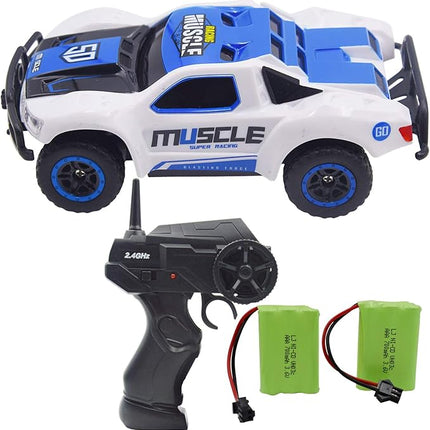 Blomiky 9 MPH High Speed Race RC Car 4WD 1:43 Scale 2.4G 4WD Electric Remote Control Car Vehicle D143 Blue White