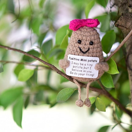 1 Pcs Positive Mini Potato Breast Cancer Good Luck Gifts for Women Easter Birthday Christmas Mom Sister Friend Wife Colleauge Coworkes Mental Support