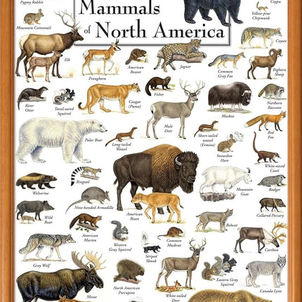 MasterPieces 1000 Piece Jigsaw Puzzle for Adults, Family, Or Youth - Land Mammals of North America - 19.25"x26.75"